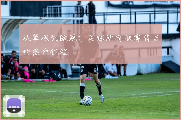 从草根到欧冠：足球所有联赛背后的热血征程